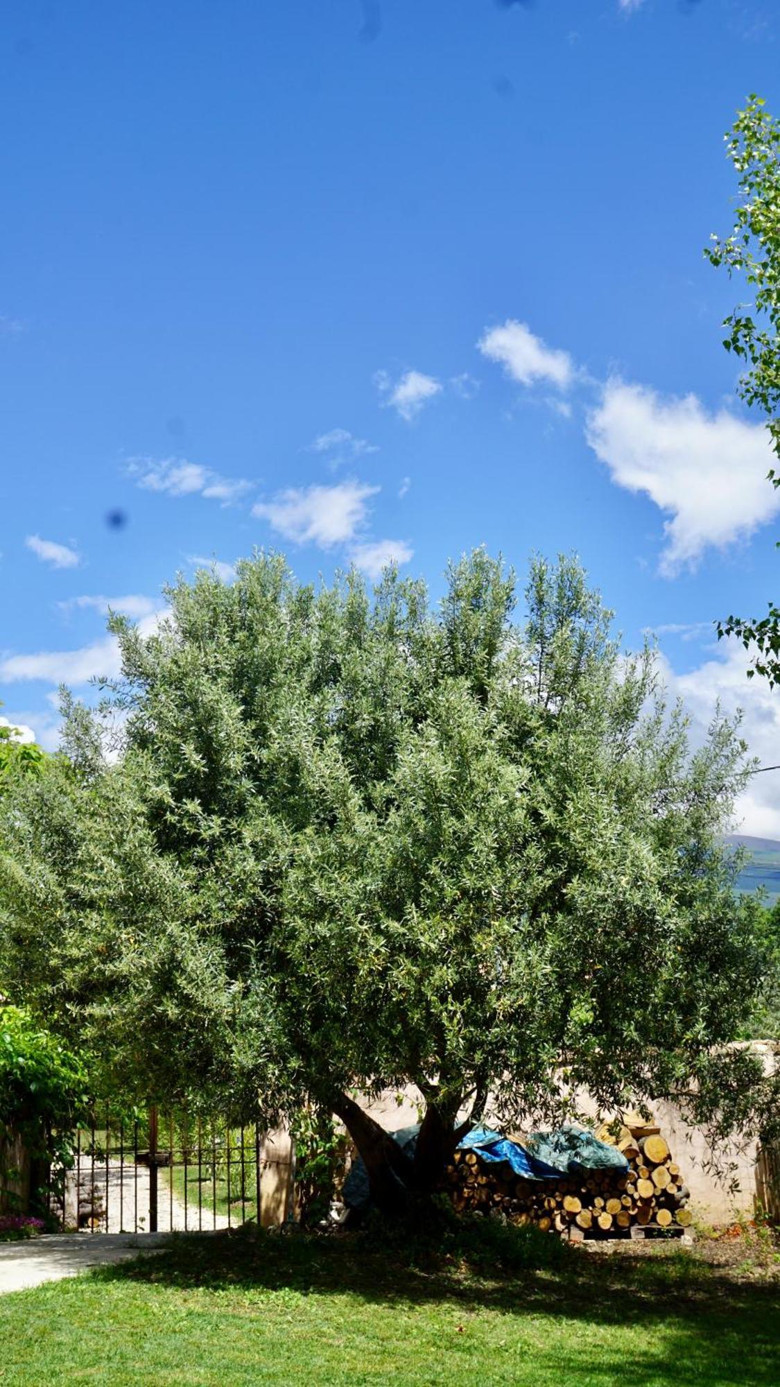 La Belle Histoire Gite Luberon Bédoin Exterior foto